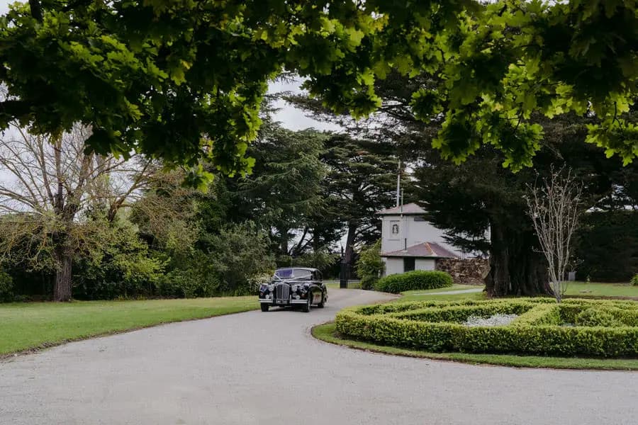 Vintage black car approaching along a curved garden driveway