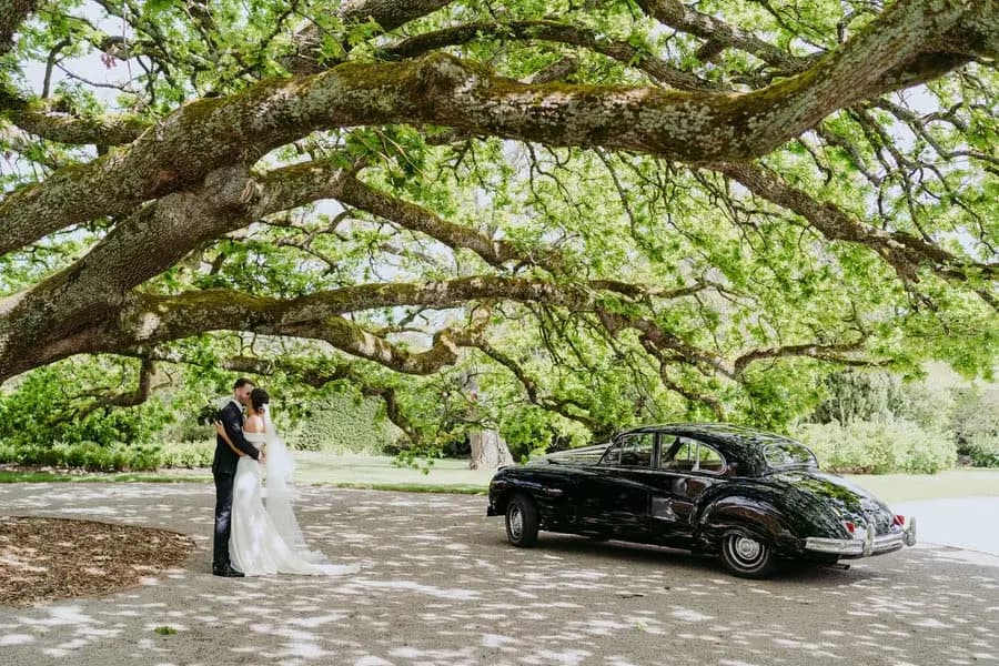 Bride and groom embracing beneath a spreading tree beside a vintage black car