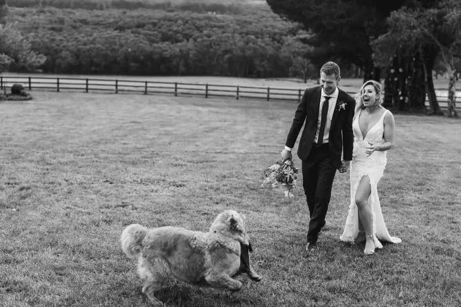 Black-and-white photograph of the couple walking toward their dog on the lawn.