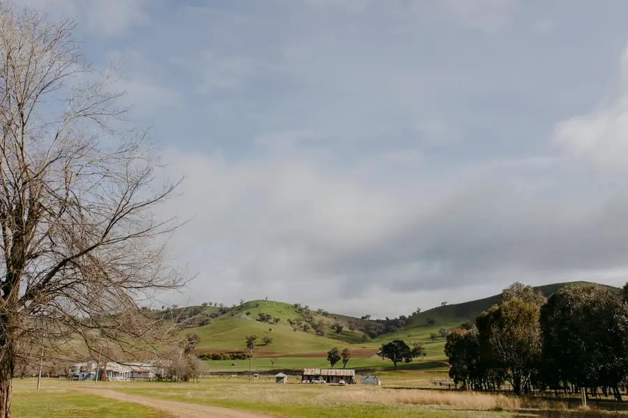 Green hills and farm buildings framed by a bare tree
