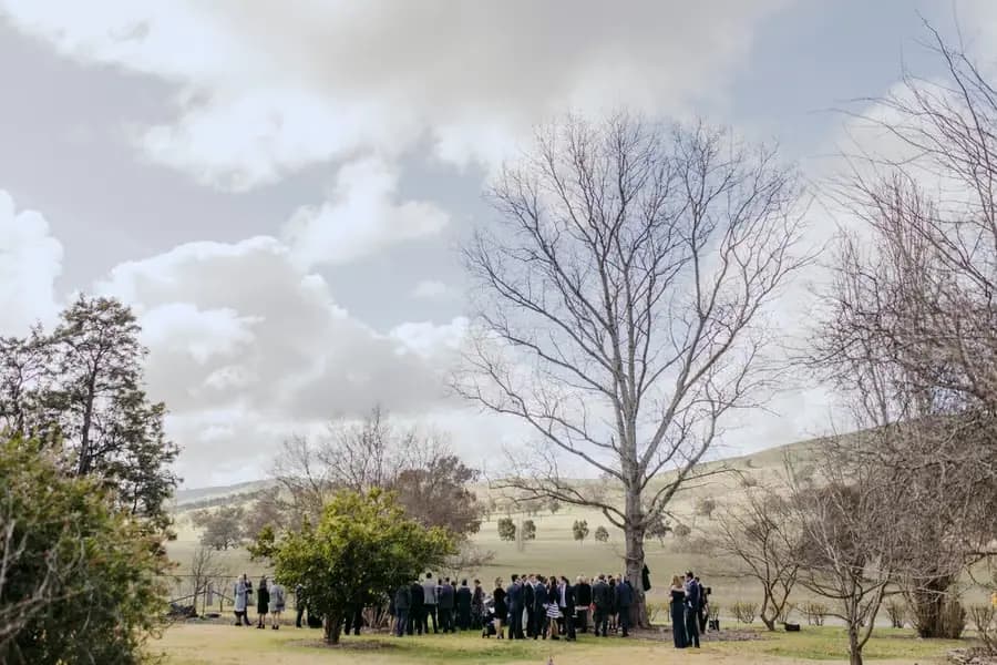 Wedding guests gathered beneath a bare tree in a rural garden