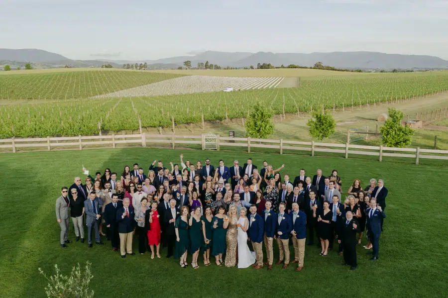 Large group of wedding guests posing on grass beside vineyard rows