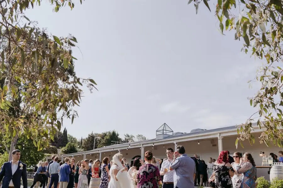 Guests gathering outside the reception building beneath tree branches
