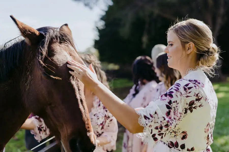 Woman gently touching a horse's face beside a paddock fence
