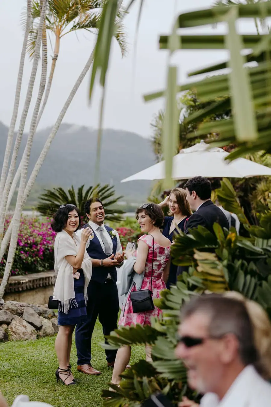 Wedding guests chatting among tropical plants beside the water
