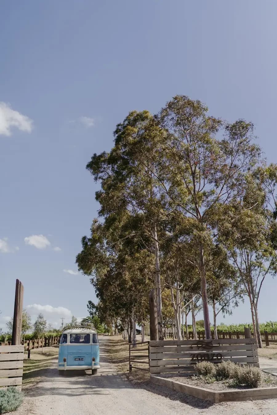 Blue campervan parked on a gravel road beneath tall trees