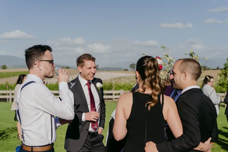 Wedding guests talking together on a lawn beside vineyard rows