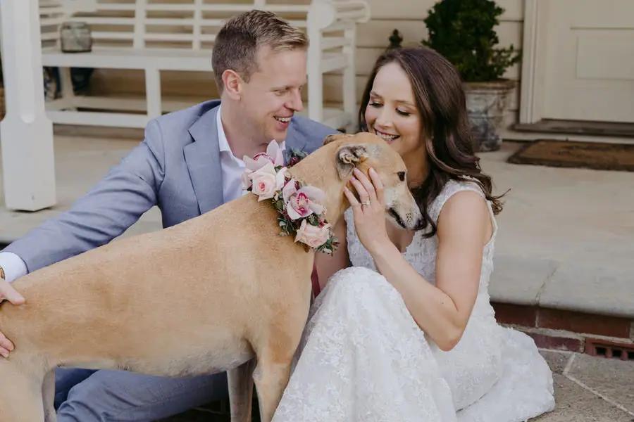 Bride and groom sitting with a tan dog wearing a floral collar