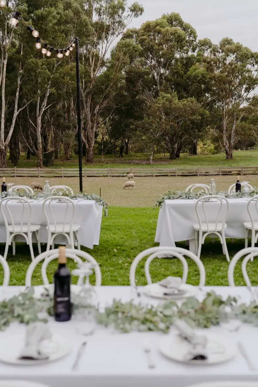 Outdoor reception tables decorated with greenery beside open paddocks