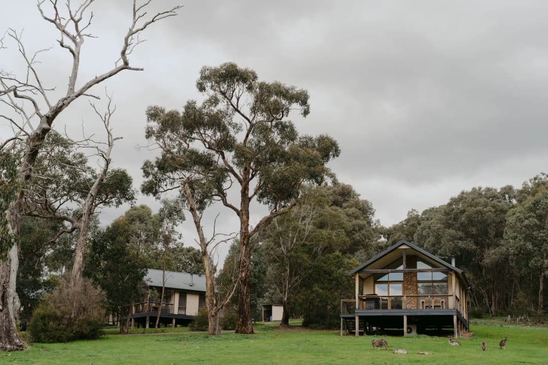 Two timber cabins with pitched roofs beside a lawn and tall trees