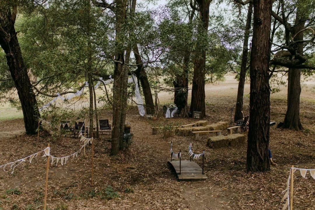Woodland ceremony space with wooden benches and fabric draped between trees.
