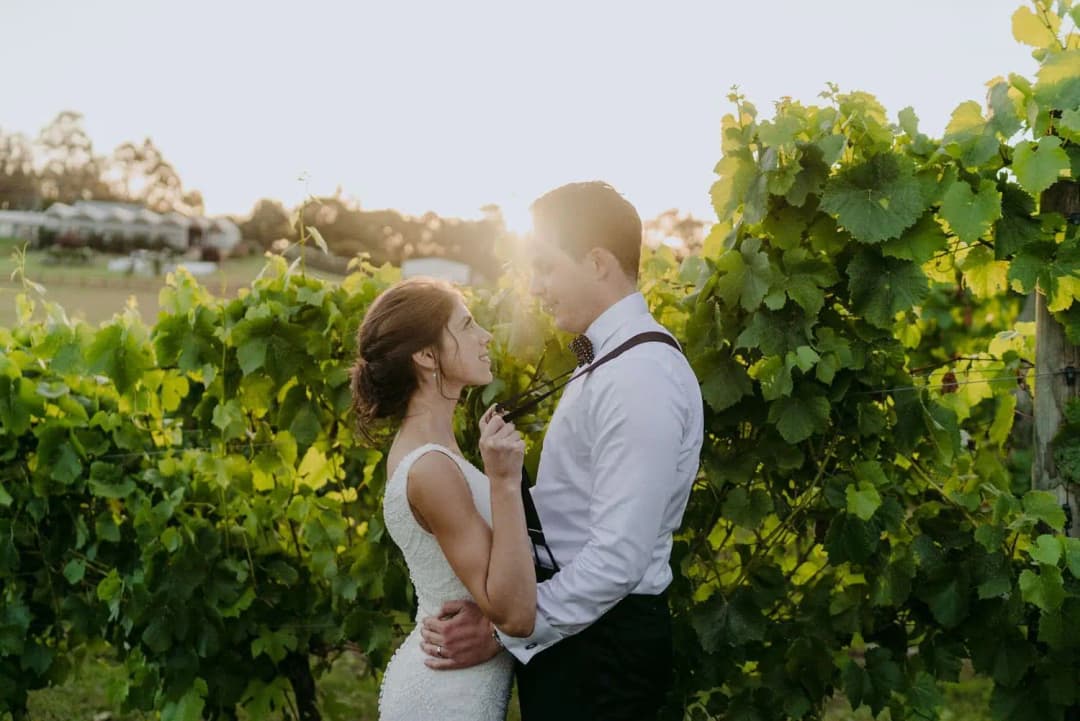 Couple embracing beside grapevines in warm sunset light.