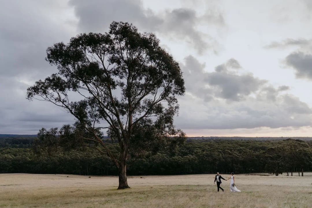 Wide view of a couple walking beside a lone tree beneath sunset clouds.