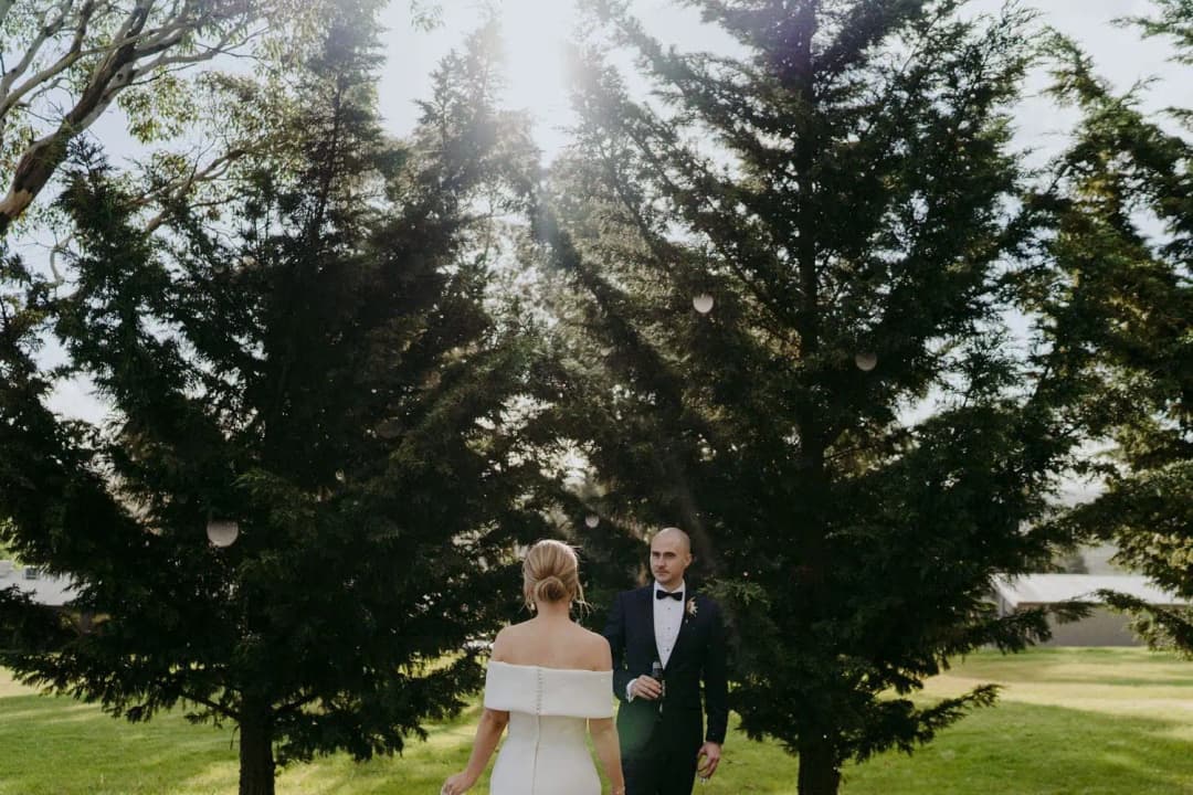 Bride approaching the groom beneath sunlit evergreen trees.