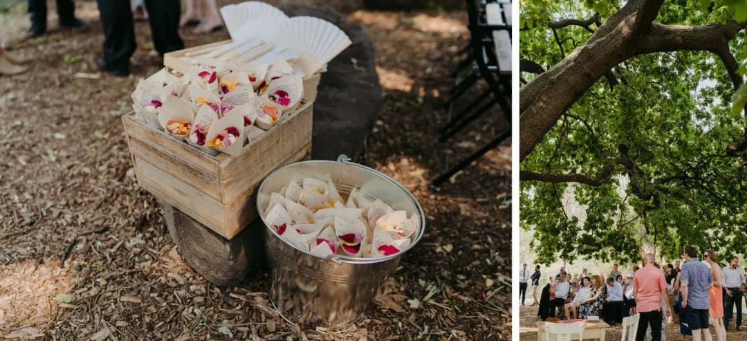 Two photographs of baskets of flower petals and guests beneath a large tree