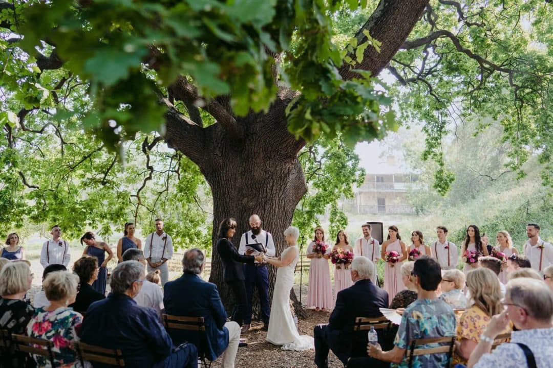Couple facing each other beneath a large tree as guests watch the ceremony
