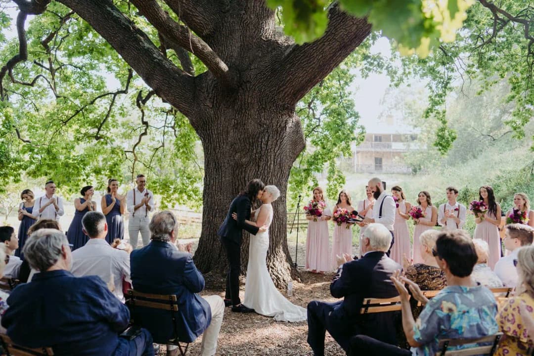Couple kissing beneath a large tree as seated guests watch