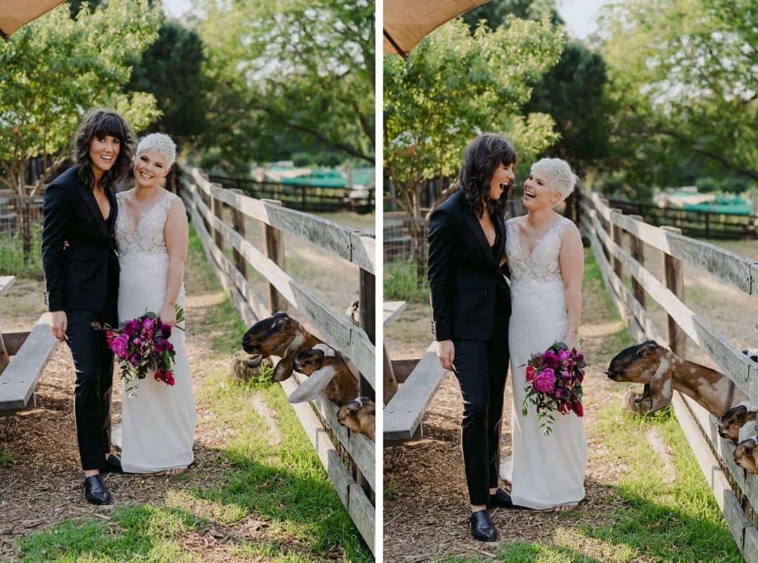 Two photographs of the couple laughing beside a wooden fence with goats