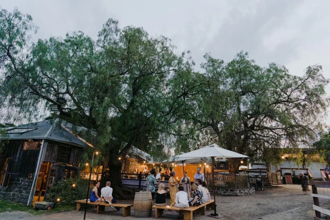 Guests gathered beneath umbrellas and trees outside the reception barn