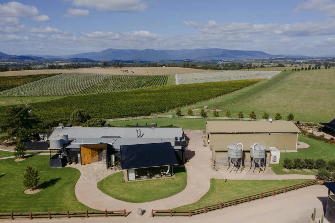 Aerial view of a wedding venue surrounded by vineyard rows and distant hills.