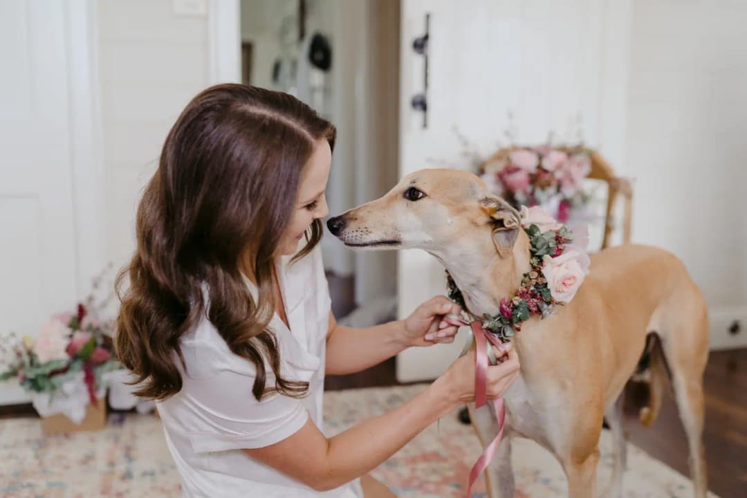 Woman in a white robe greets a dog wearing a floral collar.