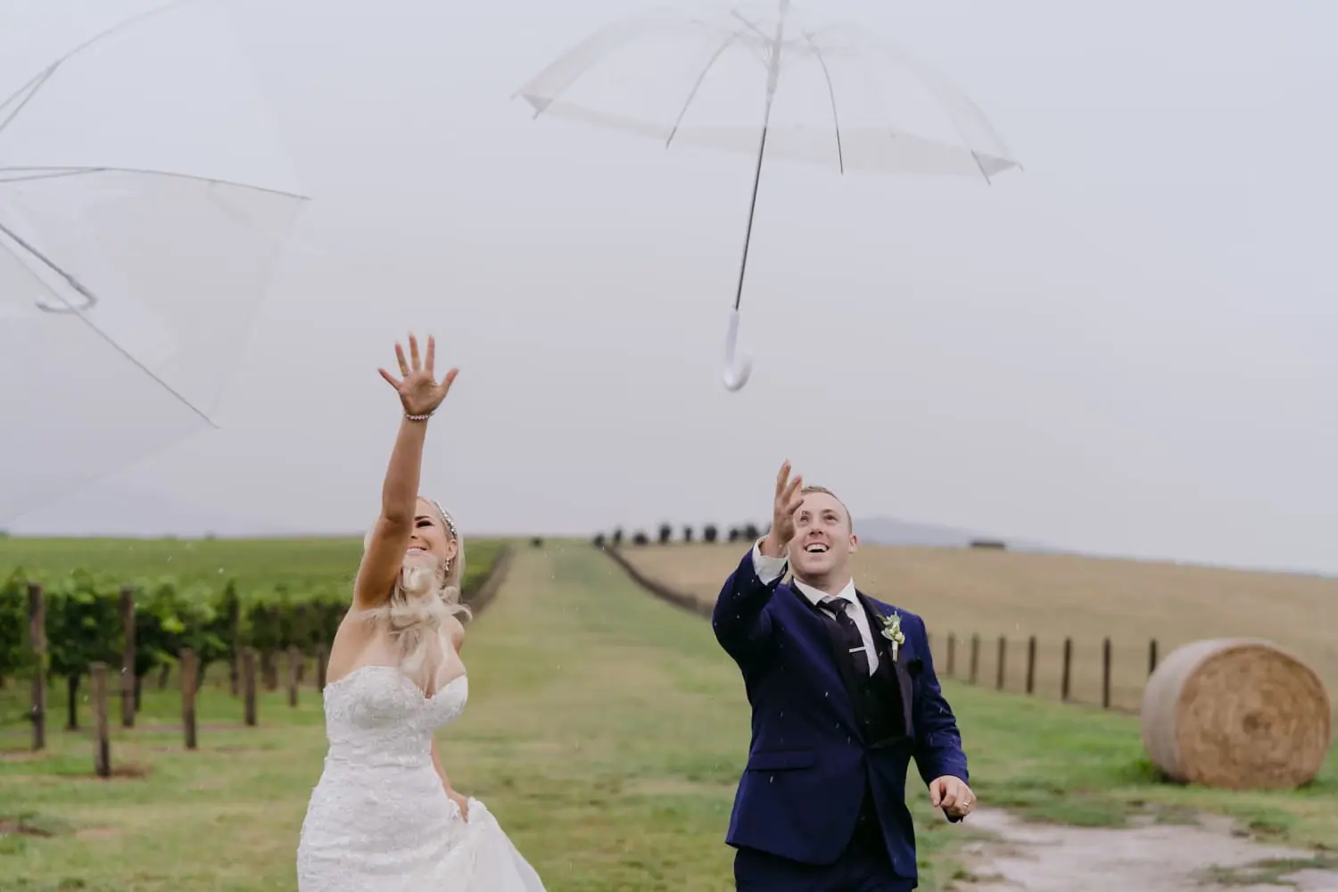 Couple throws clear umbrellas into the air beside vineyard rows.