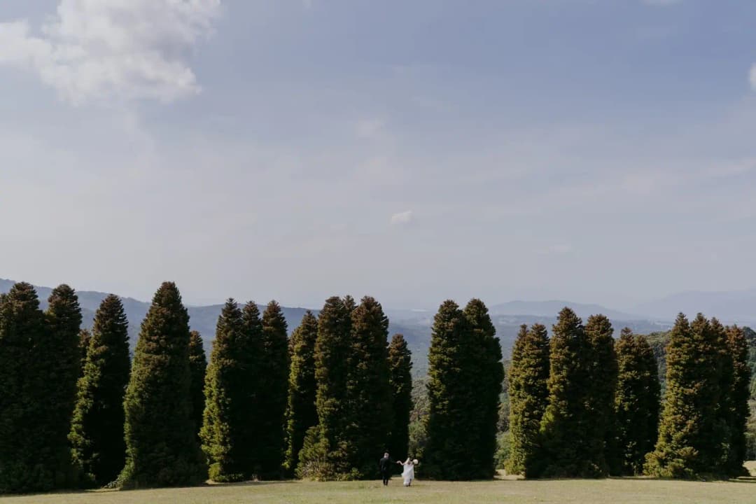 Distant couple stands beside a row of tall trees under a wide sky.