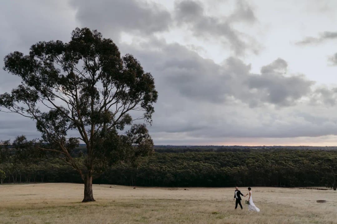 Wide view of a couple walking across a field beside a large tree beneath dramatic clouds.