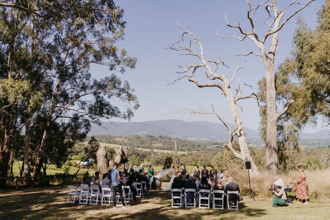 Guests sit beneath tall trees at an outdoor ceremony overlooking distant hills.