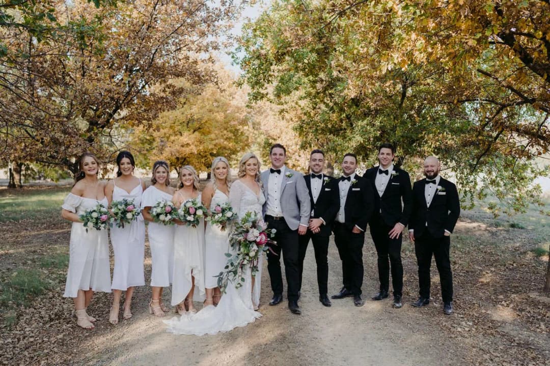 Wide group portrait of the wedding party on a tree-lined avenue.