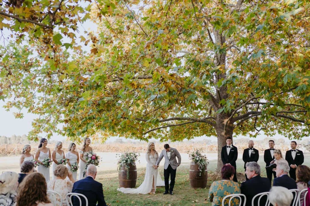Wedding party standing beneath a broad tree with seated guests in the foreground.