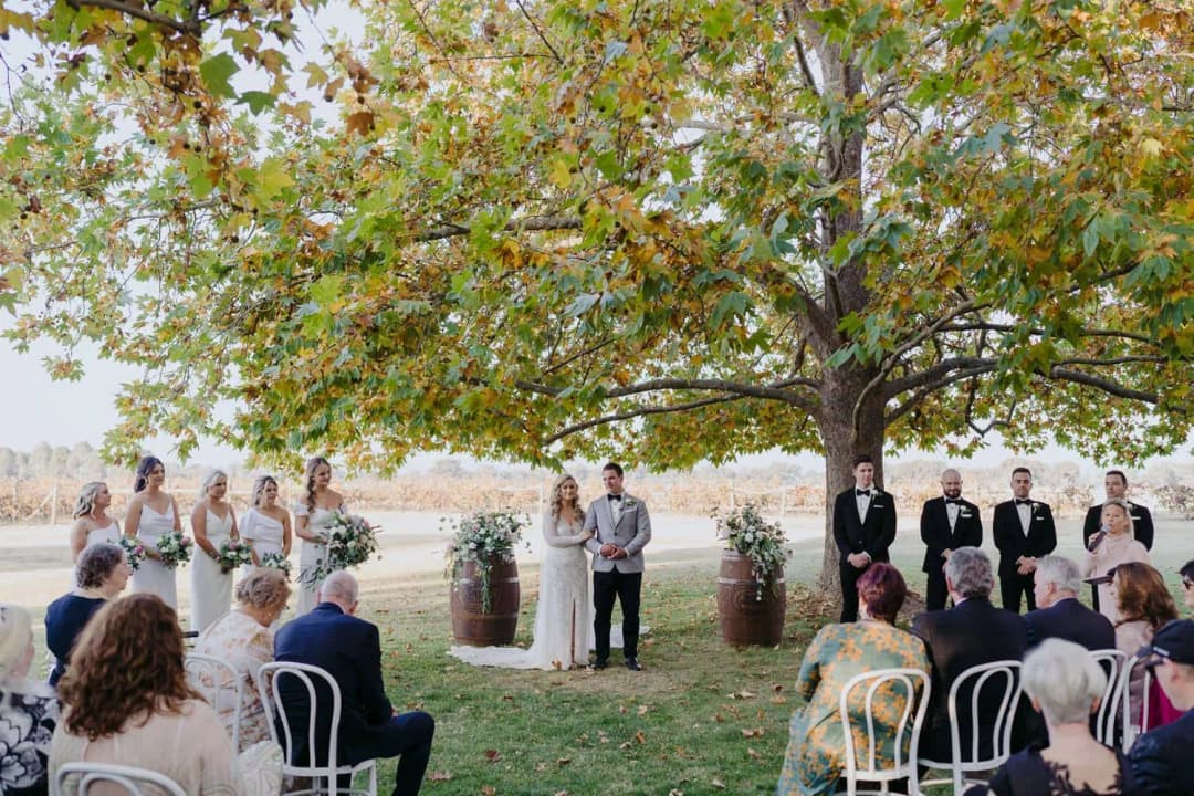 Wide view of the outdoor ceremony beneath sprawling autumn branches.
