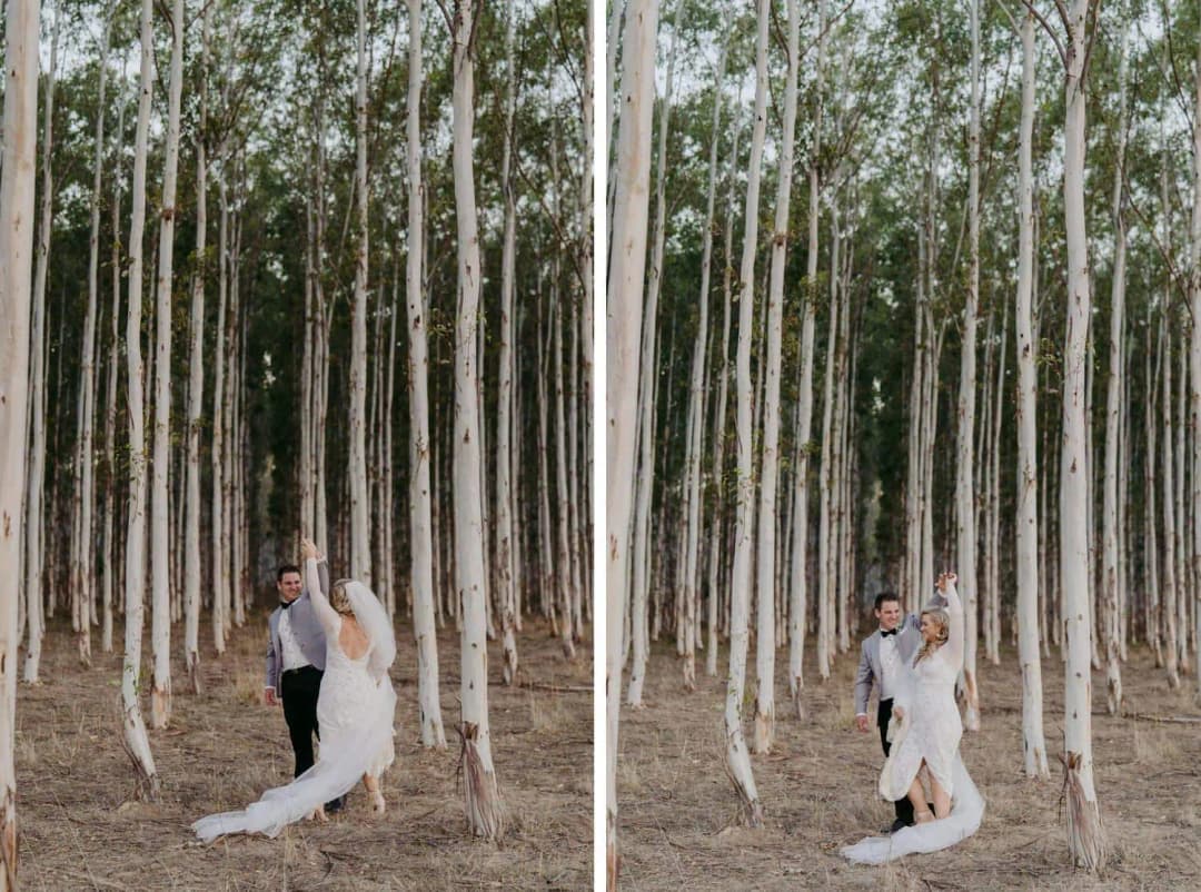 Two portraits of the couple embracing in a grove of tall straight trees.