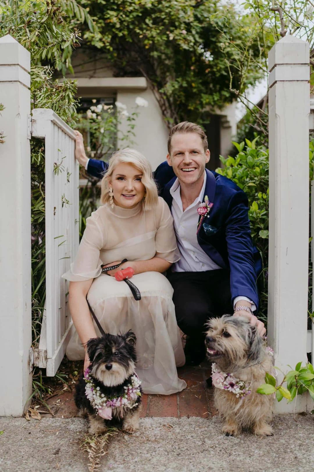 Bride and groom seated together on a doorstep with two small dogs