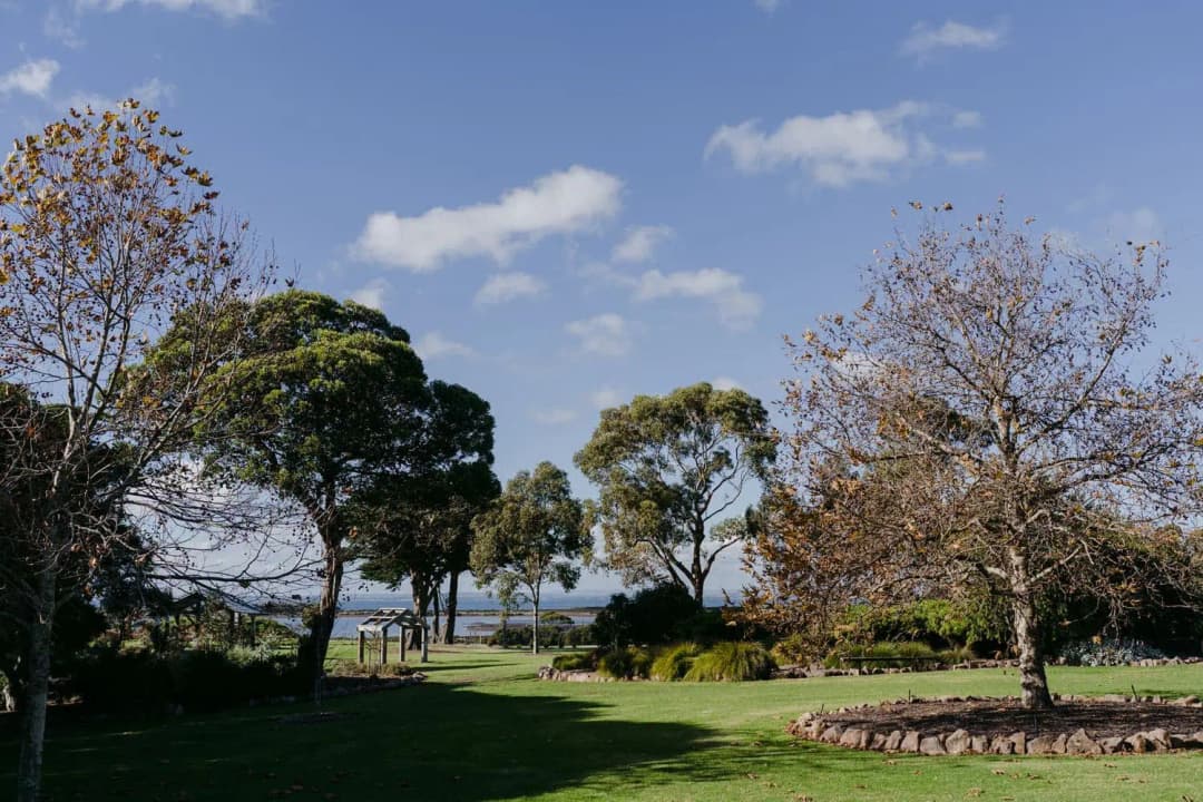 Garden lawn and trees beneath a partly cloudy blue sky