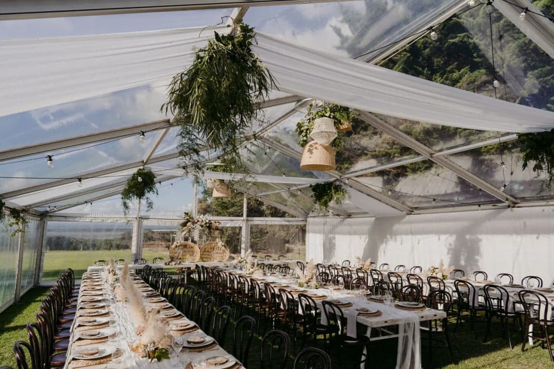 Reception tables arranged beneath hanging plants and white ceiling drapes