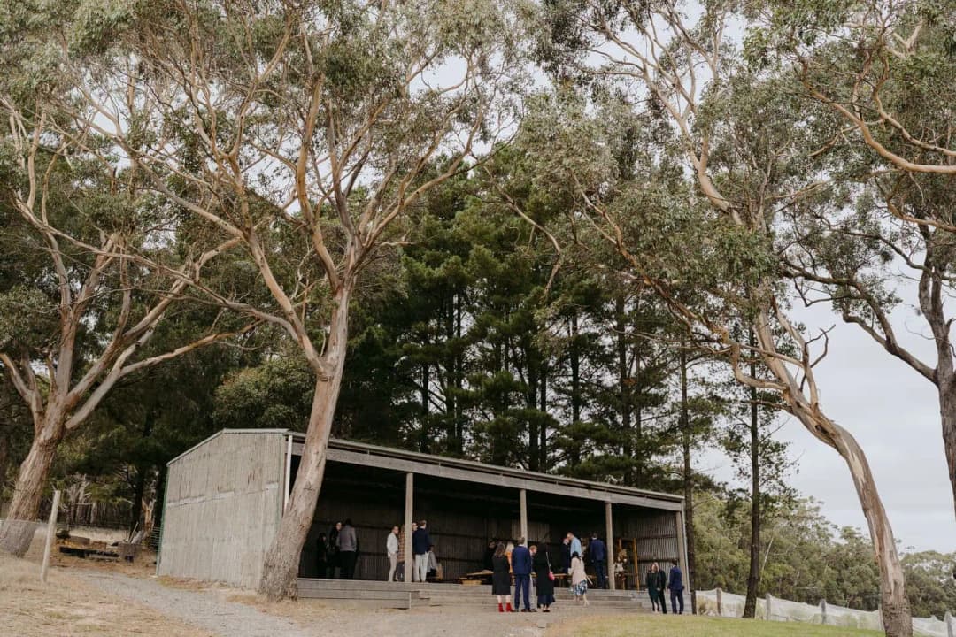 Guests gathering outside an open-sided shed beneath tall trees
