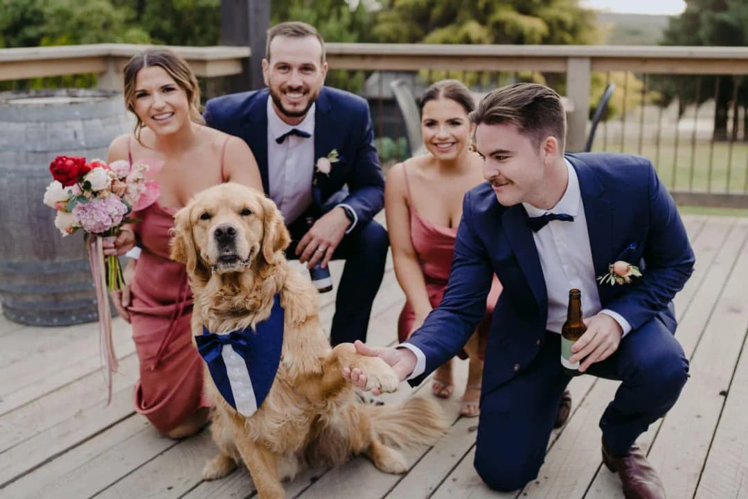 Wedding party members crouching to greet a golden dog on a wooden deck