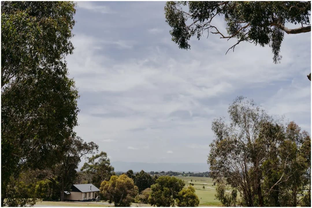 View across distant farmland framed by leafy treetops