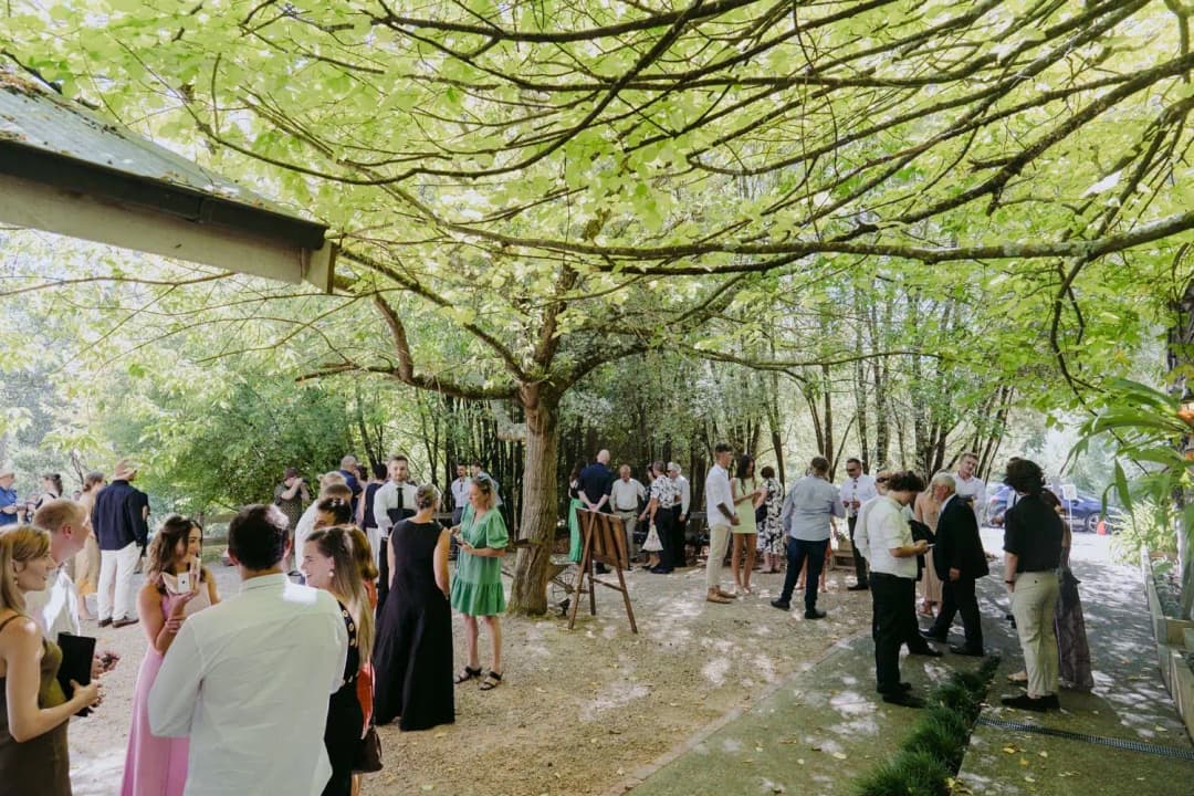 Wedding guests gathered beneath a spreading tree beside the venue