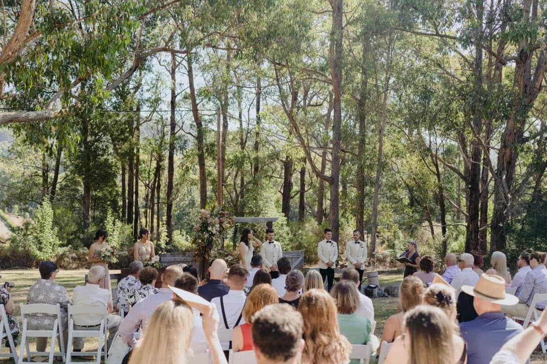 Rows of seated guests facing the woodland wedding ceremony