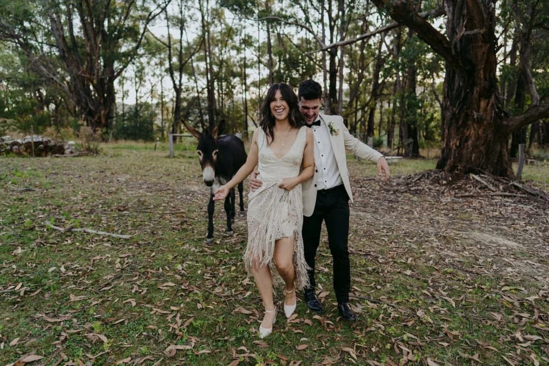 Bride and groom walking past a donkey in a wooded paddock