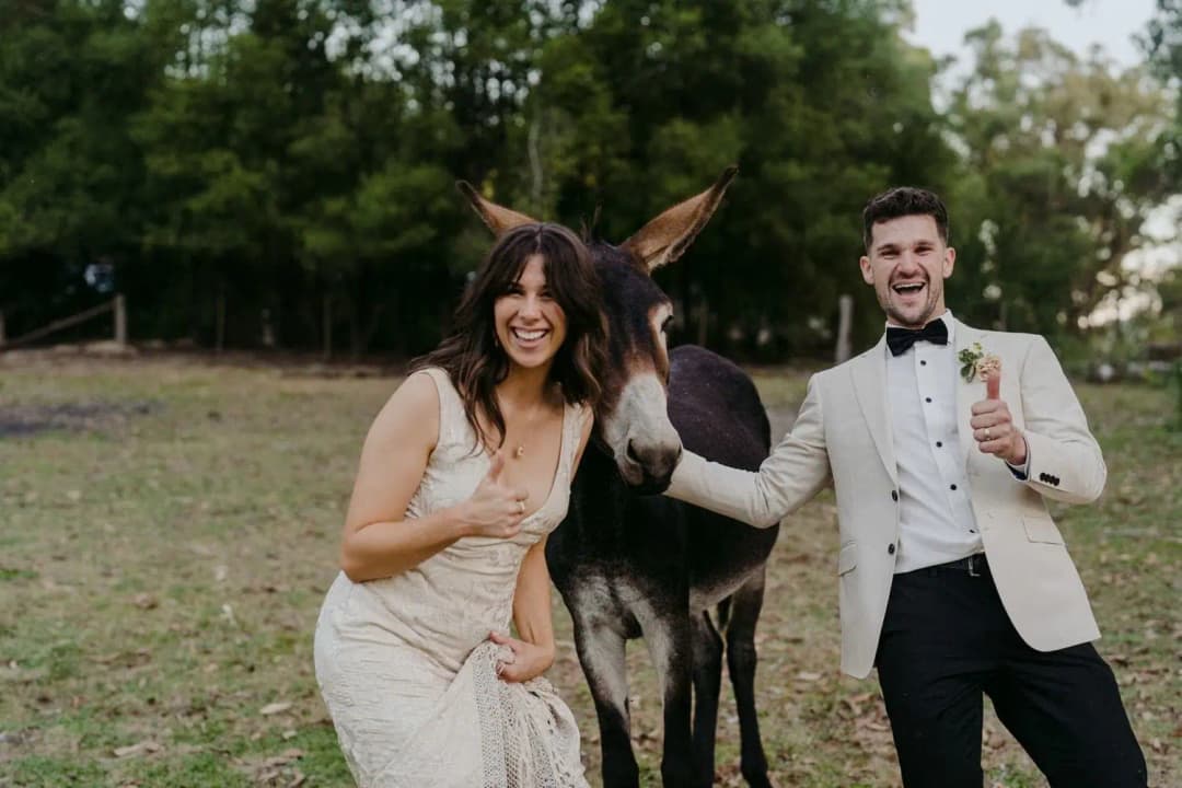 Bride and groom laughing while petting a donkey outdoors
