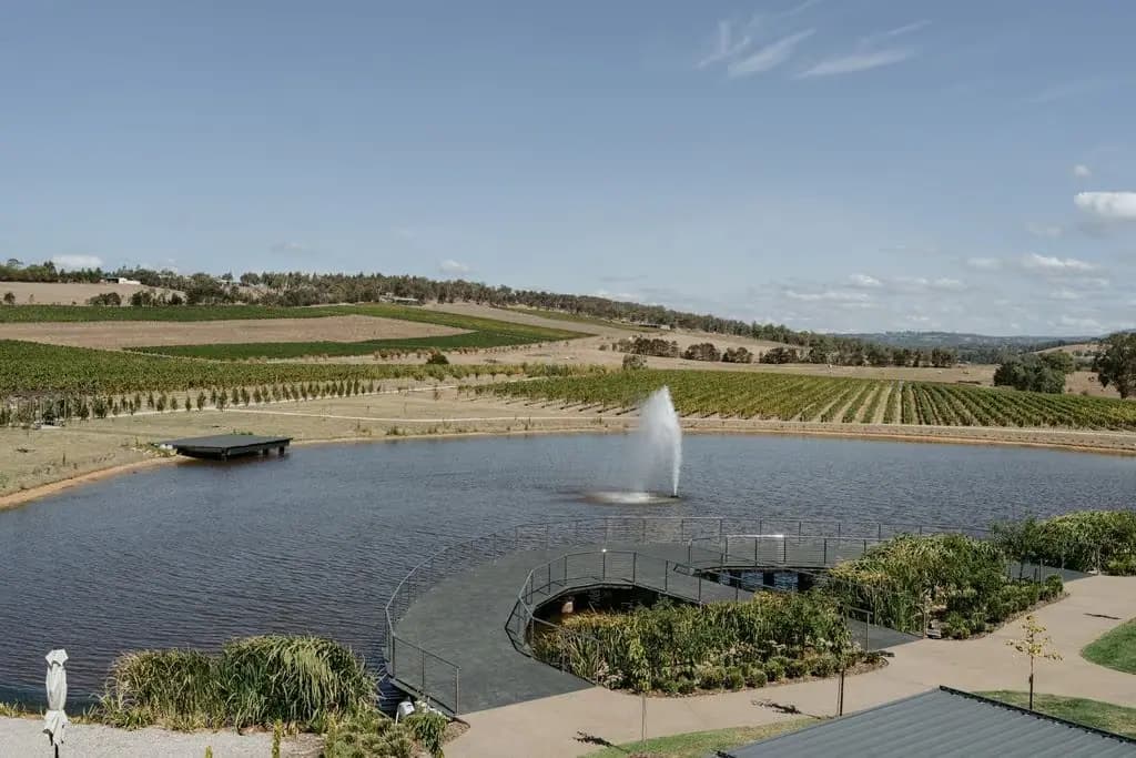 Lake and vineyard landscape with a fountain