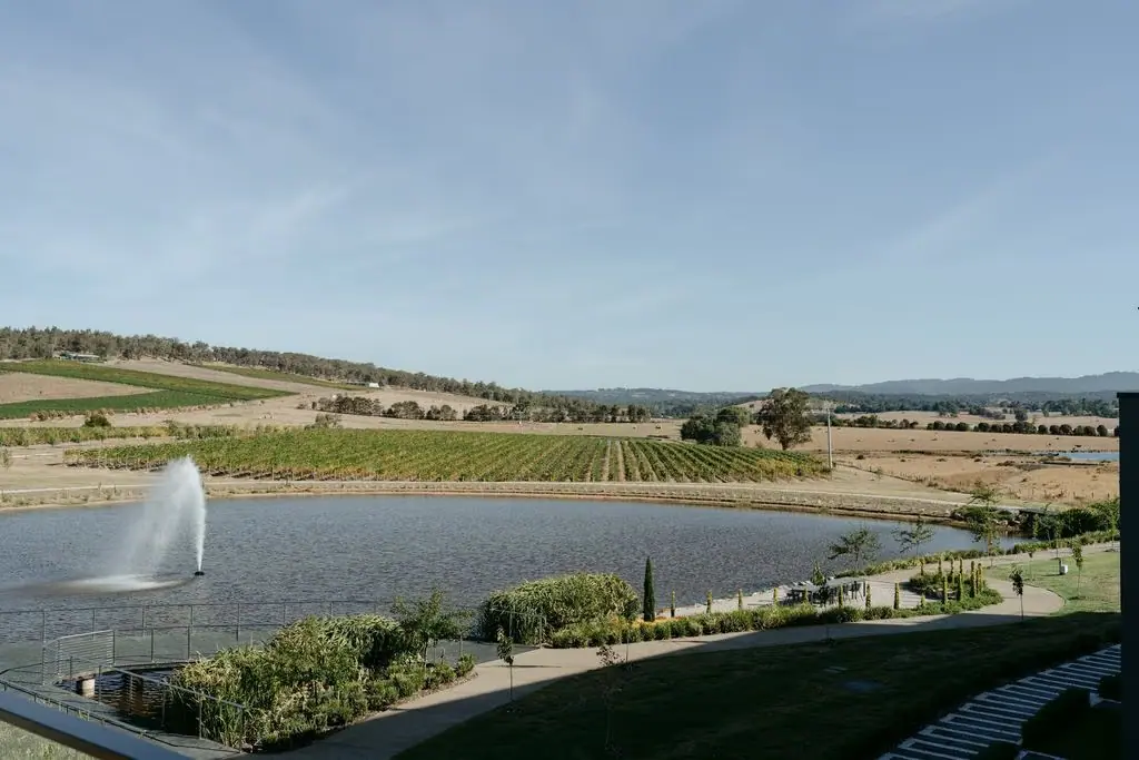 Vineyard landscape with a lake and fountain