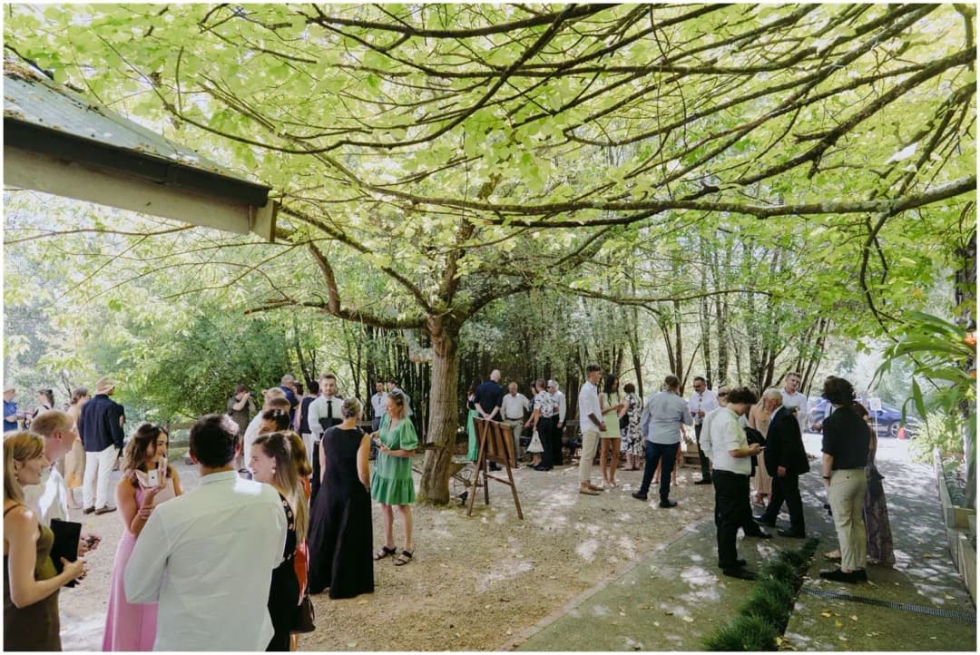 Wide view of guests socialising beneath broad tree branches.