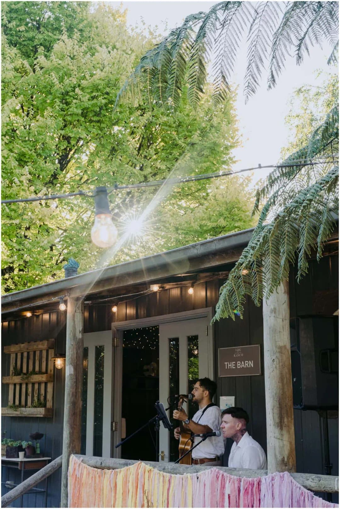 Musician performing on the veranda of a timber building beneath tree ferns.
