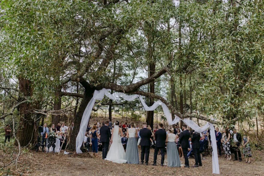 Guests gathered around the couple beneath a broad tree and draped white fabric.