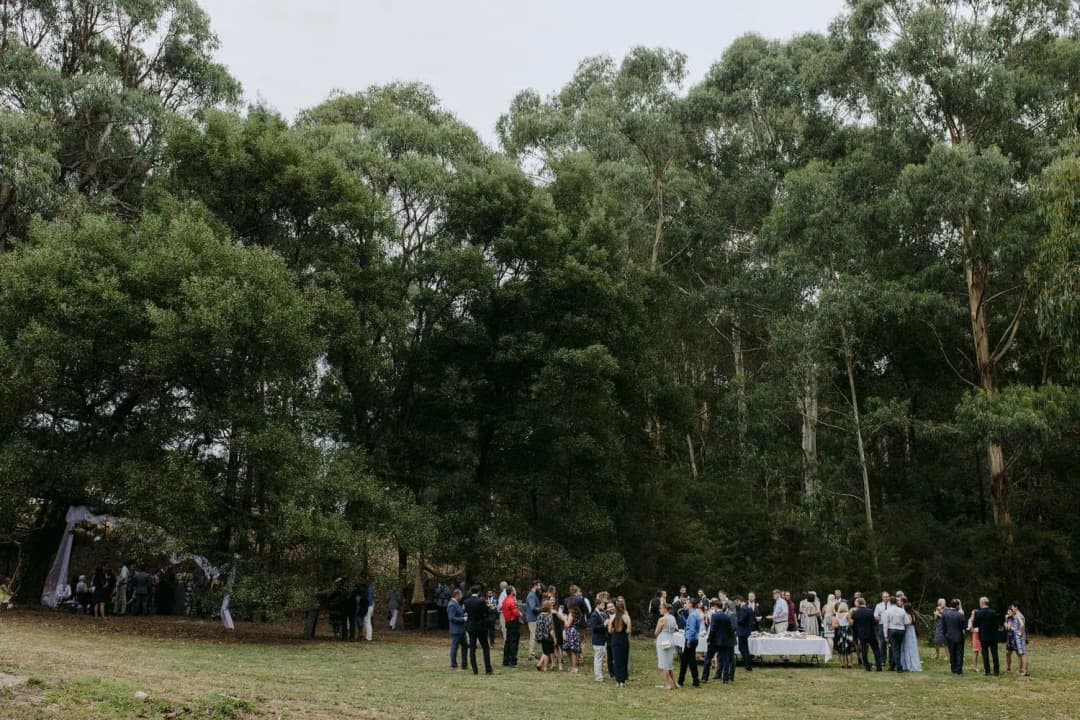Wide view of guests socialising in a grassy clearing beside dense woodland.