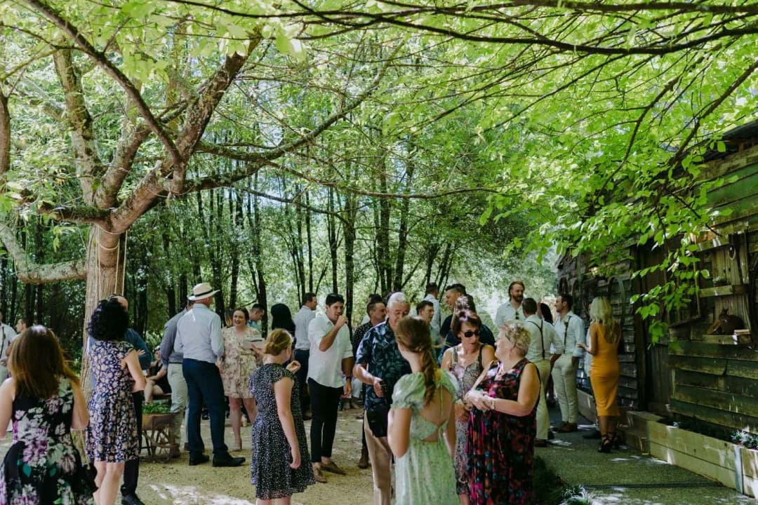 Guests chatting on a shaded lawn beside a timber building.